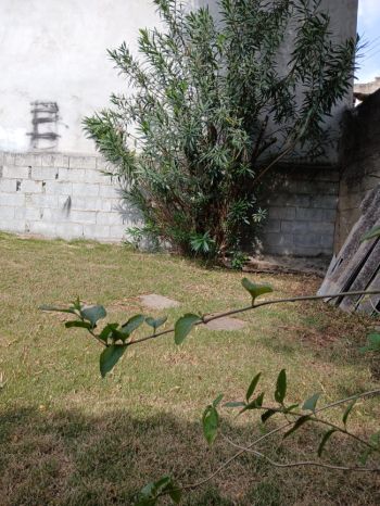 Casa Guarulhos Cid. Jd. Cumbica